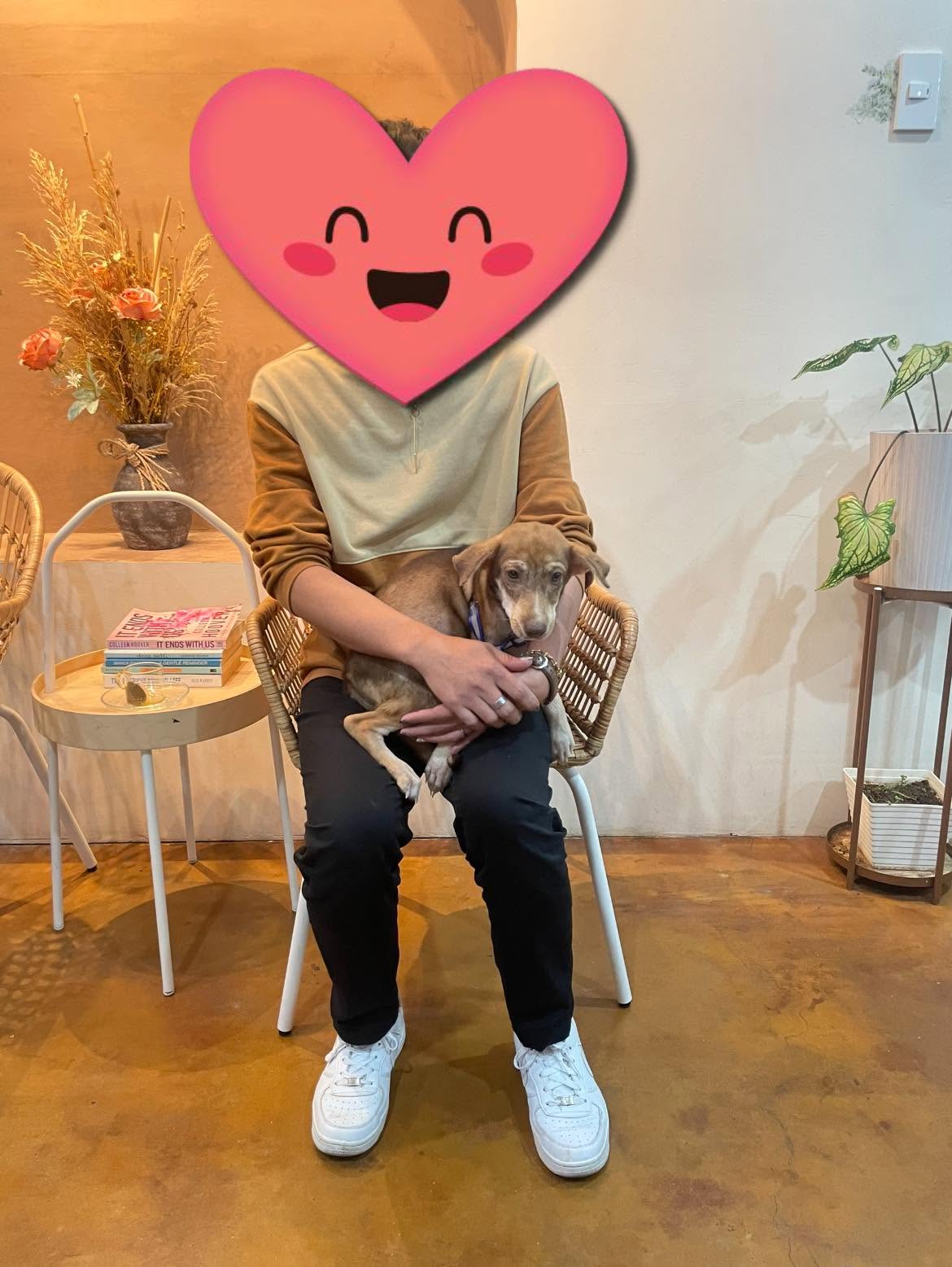 A guest relaxing in the lounge with their dog on their lap